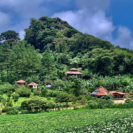 Finca Neblina Del Bosque Estelí Eksteriør bilde