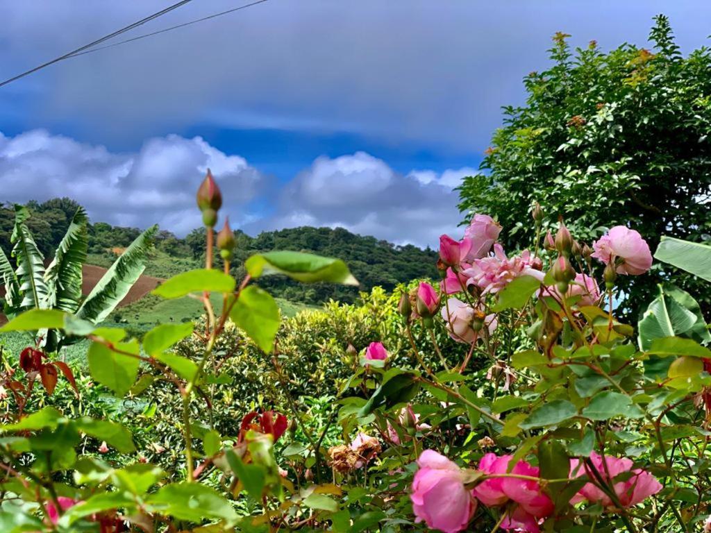 Finca Neblina Del Bosque Estelí Eksteriør bilde