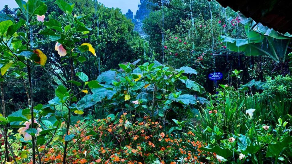 Finca Neblina Del Bosque Estelí Eksteriør bilde