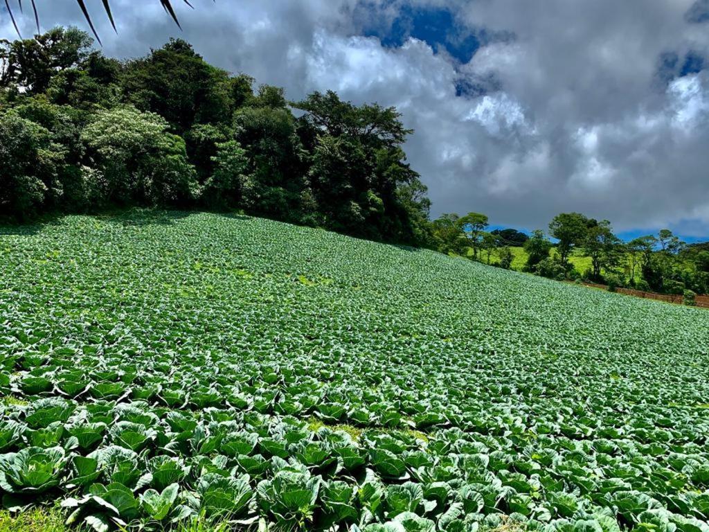 Finca Neblina Del Bosque Estelí Eksteriør bilde