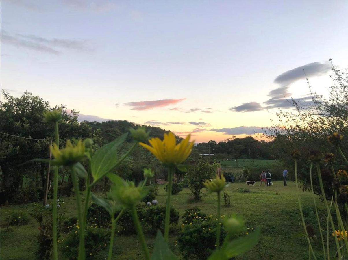 Finca Neblina Del Bosque Estelí Eksteriør bilde