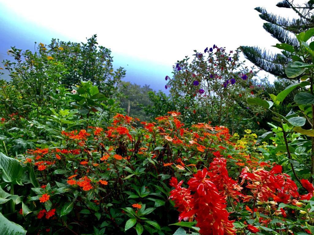 Finca Neblina Del Bosque Estelí Eksteriør bilde