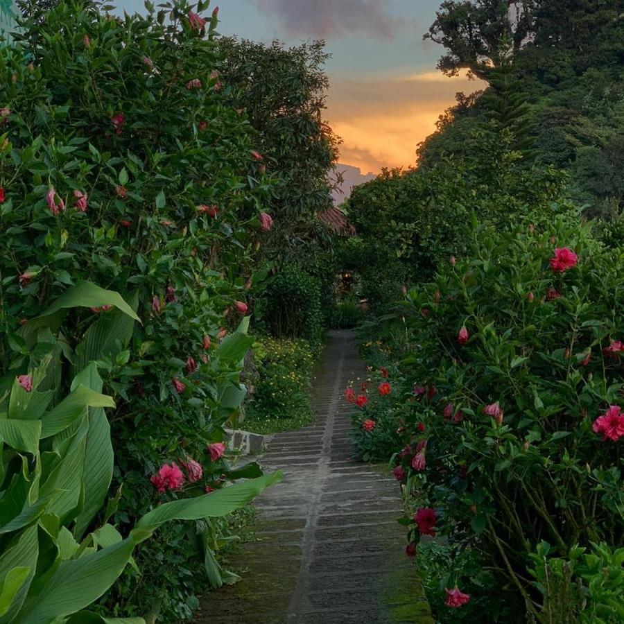 Finca Neblina Del Bosque Estelí Eksteriør bilde