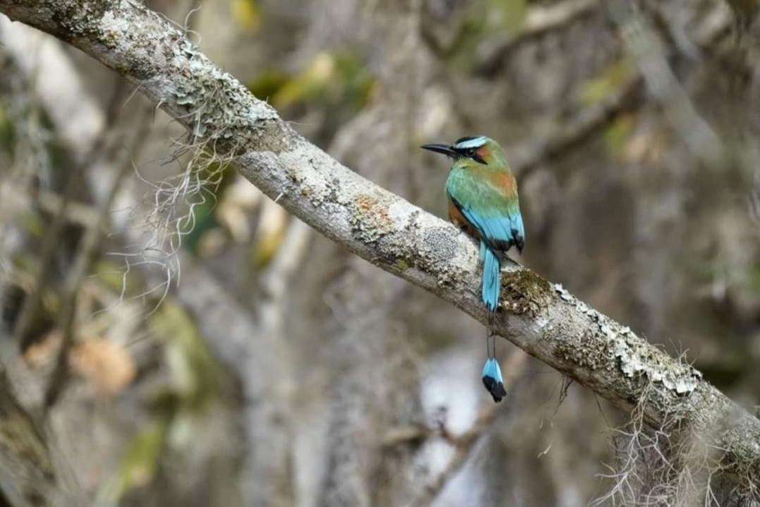 Finca Neblina Del Bosque Estelí Eksteriør bilde