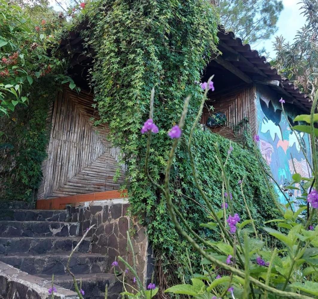 Finca Neblina Del Bosque Estelí Eksteriør bilde